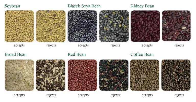 Optical color sorting equipment for rice, beans, and seeds by Voson
