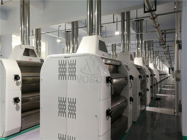 maize processing plant cost