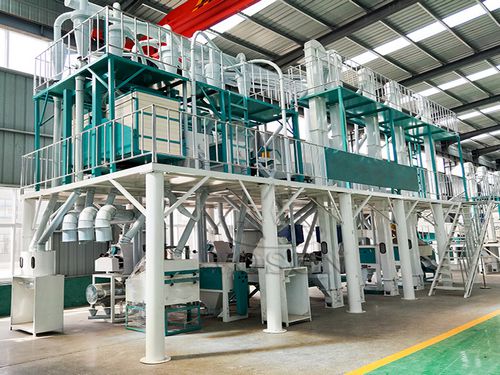 50 maize milling plant