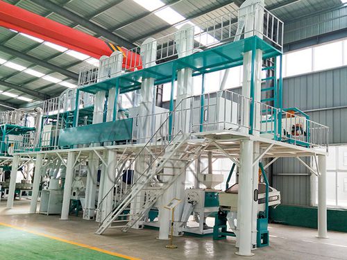 50tpd maize milling plant