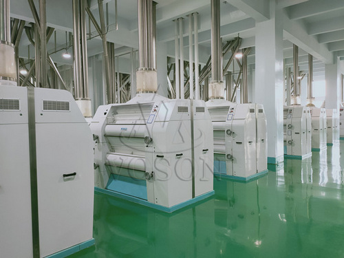 China-made complete flour milling line for maize and wheat, offering turnkey installation and training