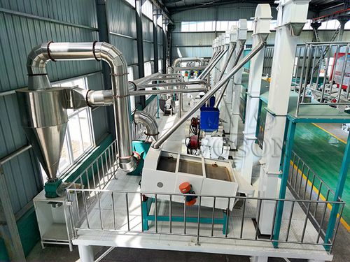 maize milling plant for 50