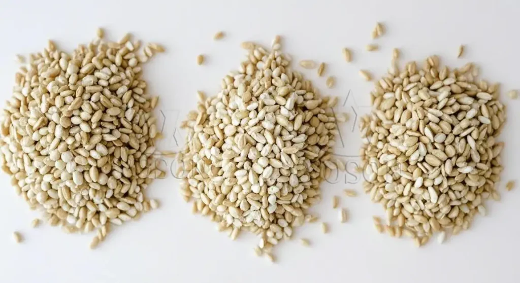 Photo of dehulled wheat grains after bran removal in flour milling process