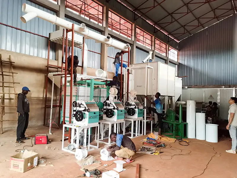 Installation of the 10TPD maize flour milling plant in Burundi
